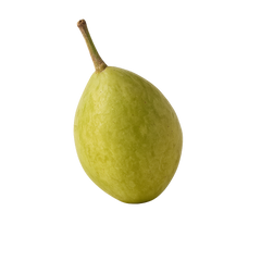 Kakadu Plum for Vitamin C