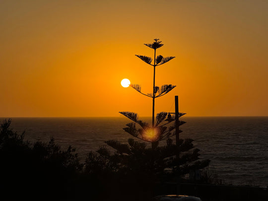 Day vs. Night Rituals: How Small Changes Can Transform Your Well-being